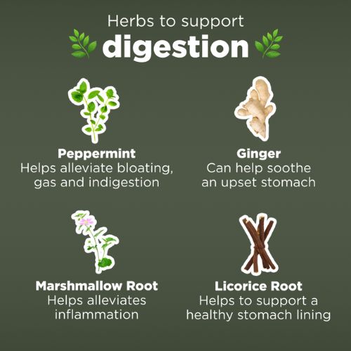 herbs to support digestion