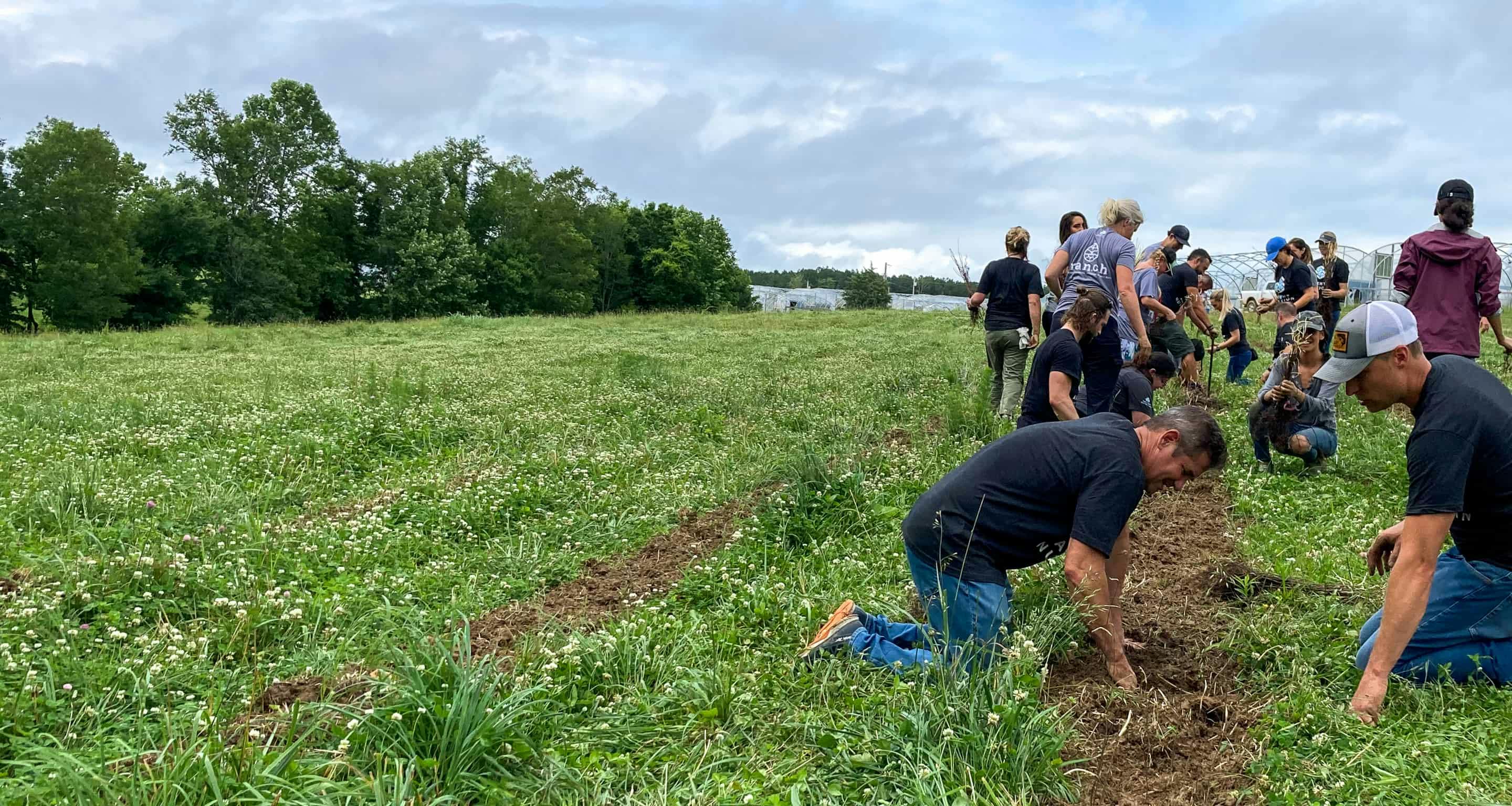 people working on the farm