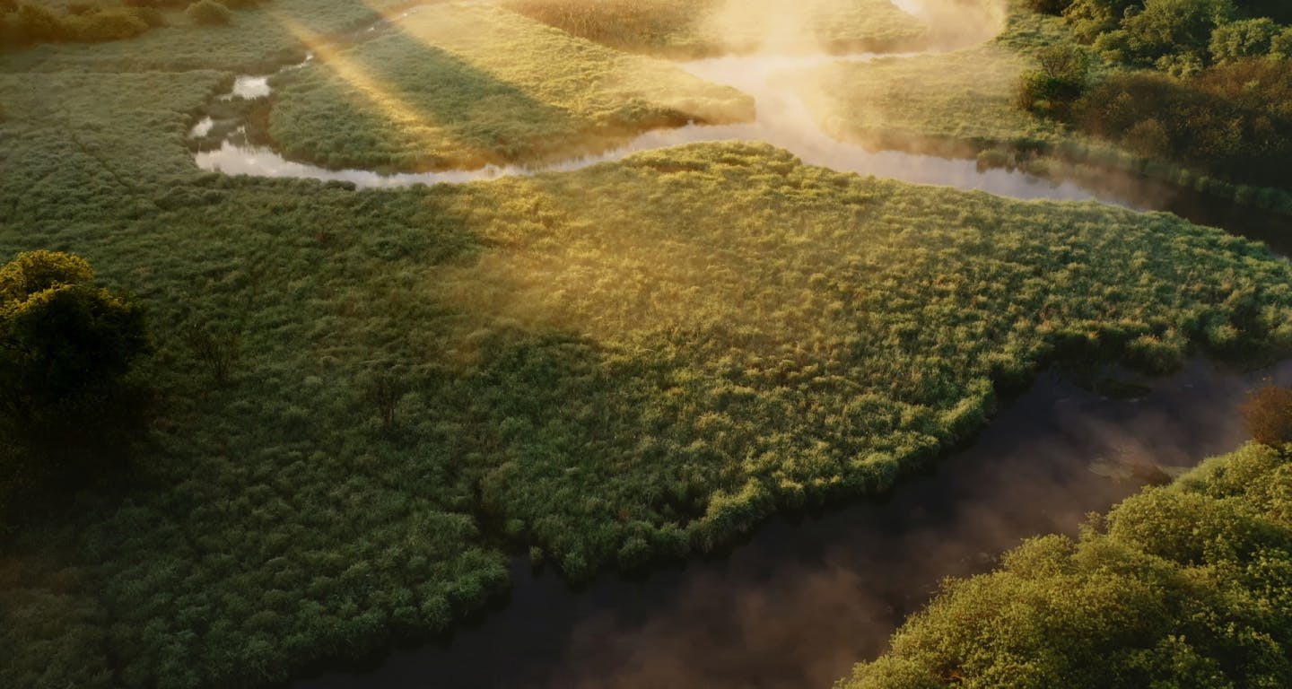 photo of a grassy valley