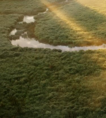 photo of a grassy valley